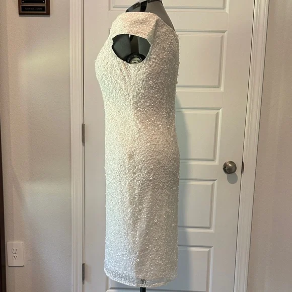 Elegant Off White Sequin Dress - Picture 6 of 6